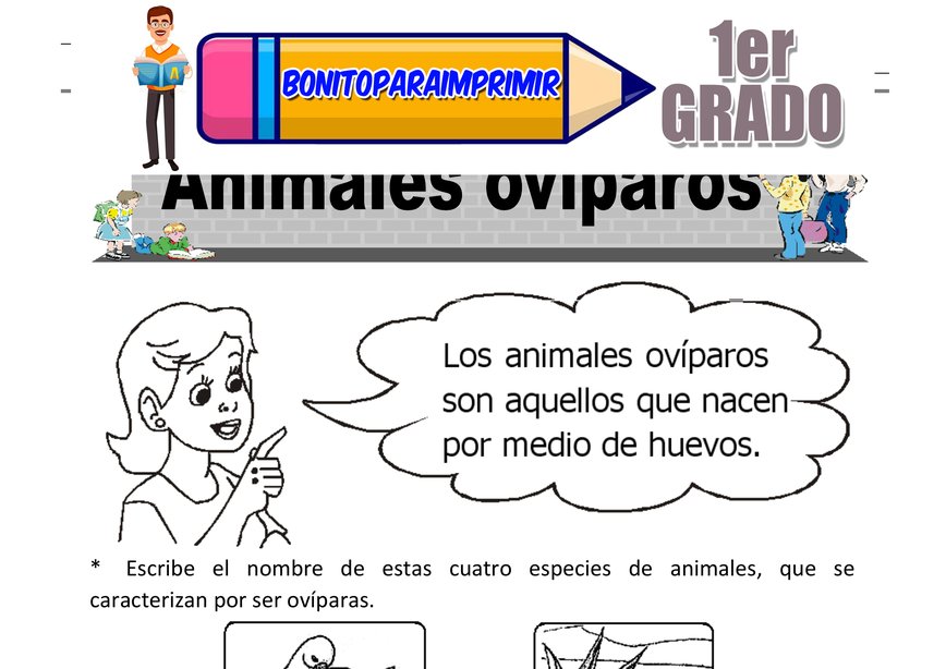 Cuidado de los Animales para Primer Grado