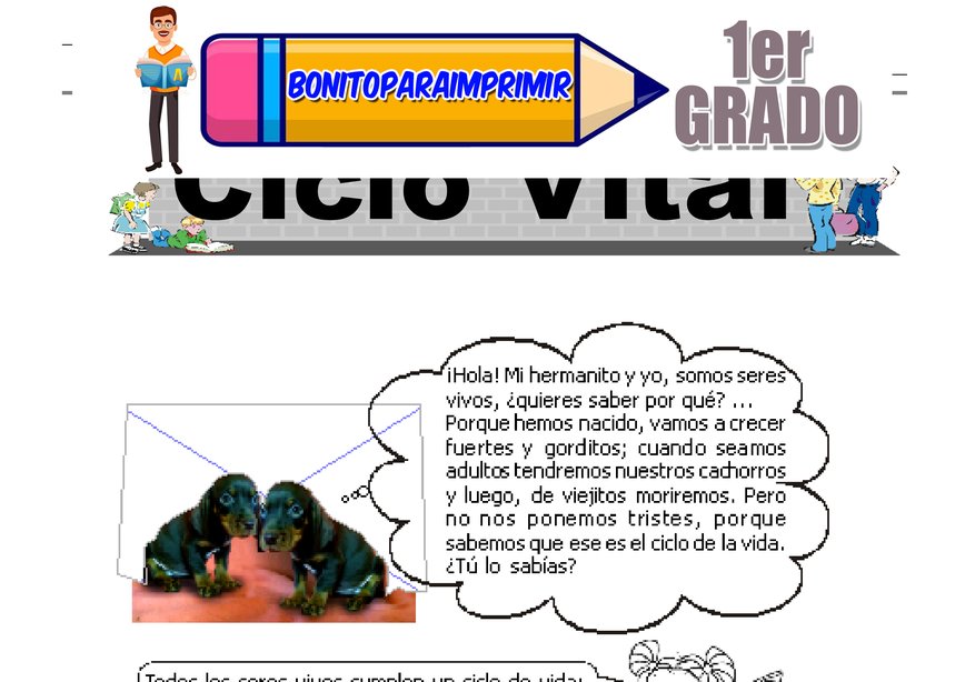 Cuidemos el Agua para Primer Grado