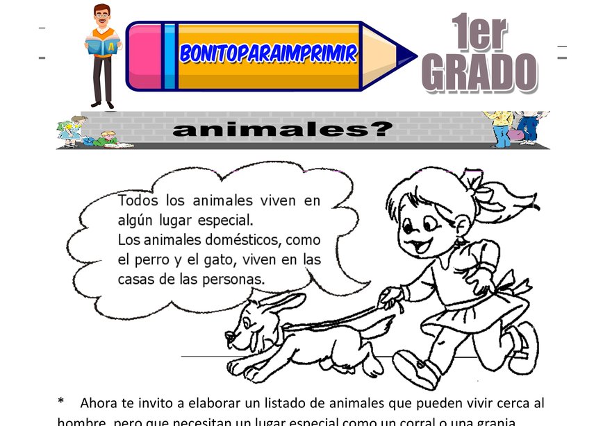El Aire para Primer Grado