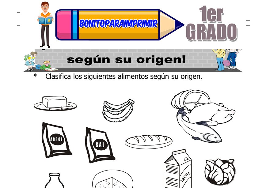 Aparato Circulatorio Segundo Grado de Primaria