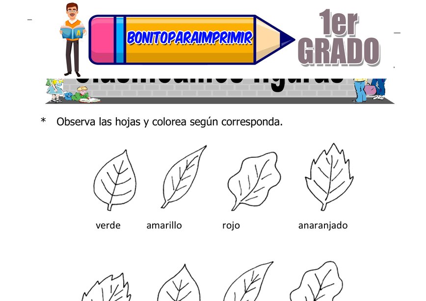 Clasificación de Figuras para Primer Grado de Primaria
