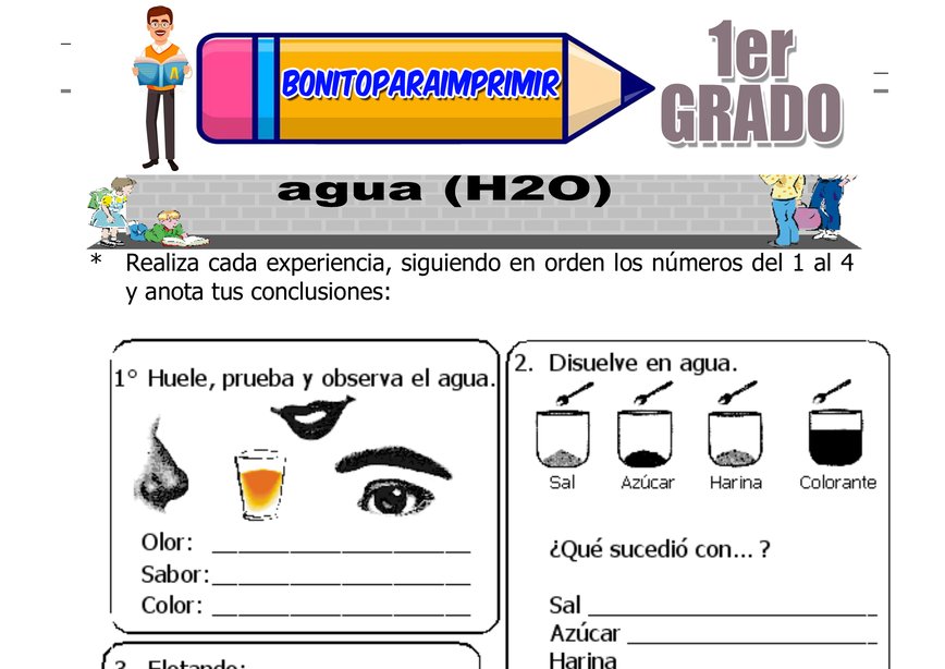Beneficios de los Animales Segundo Grado de Primaria