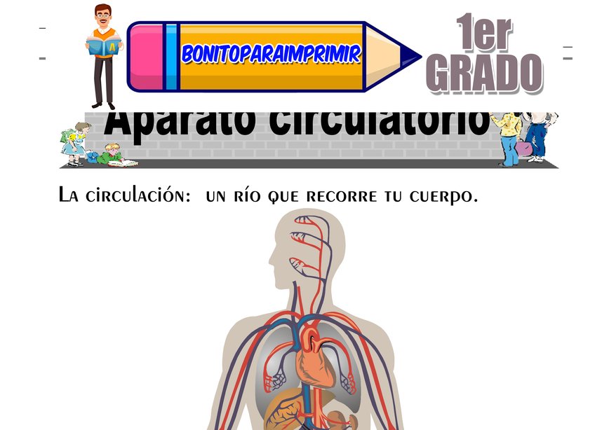 Contaminación del Aire Segundo Grado de Primaria